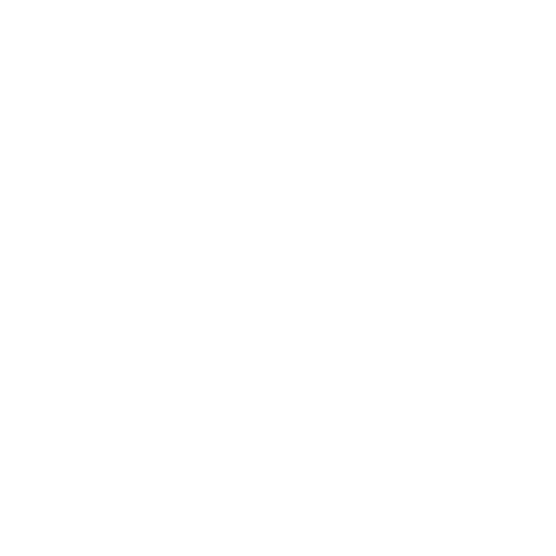 Endless Family Adventure